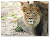 IMG_7808
